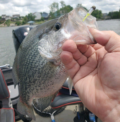 PANFISH/CRAPPIE/ICE BAITS